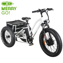 New 48V 500W Three Wheel Fat Electric Ebike